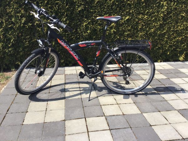 fahrrad mit rücktrittbremse und nabenschaltung 26 zoll fischer